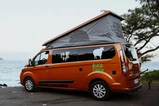 Expedition