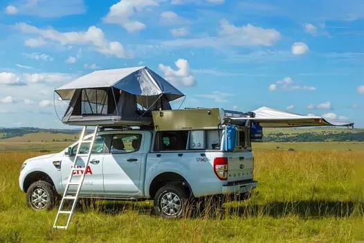 Family/Group Safari
