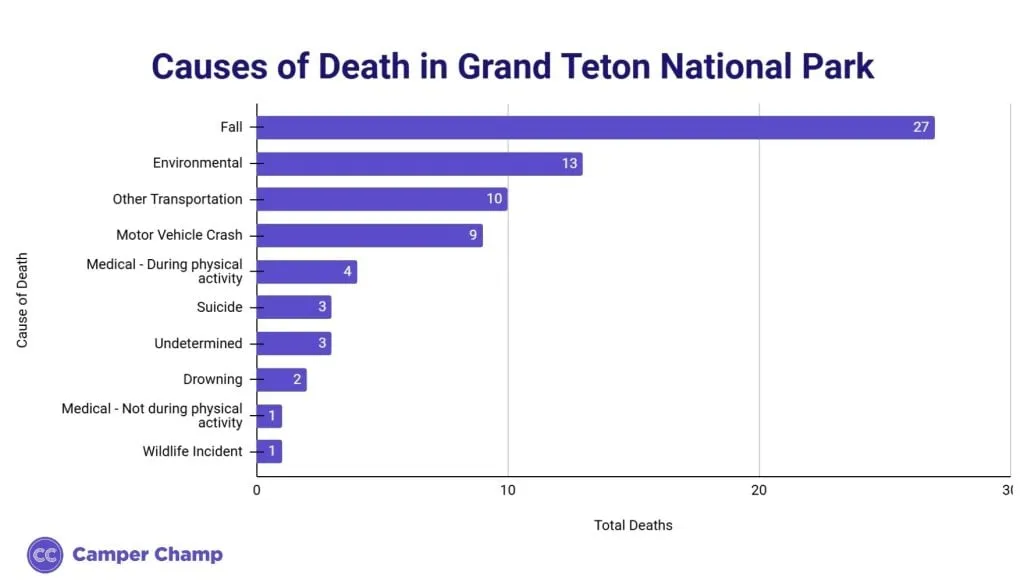 Chart of recorded causes of death at Grand Teton National Park
