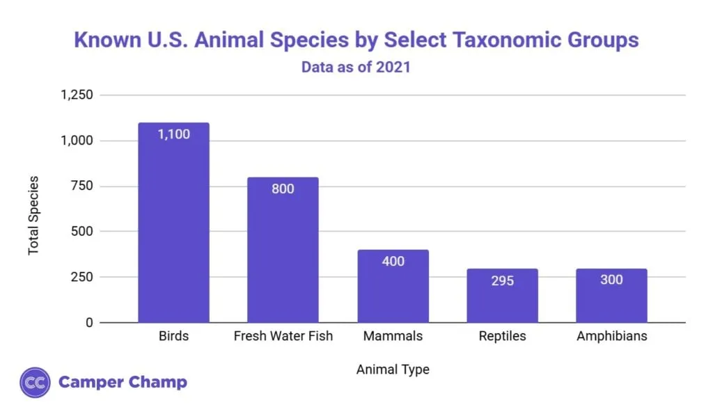 Chart: number of known animal species in the U.S.