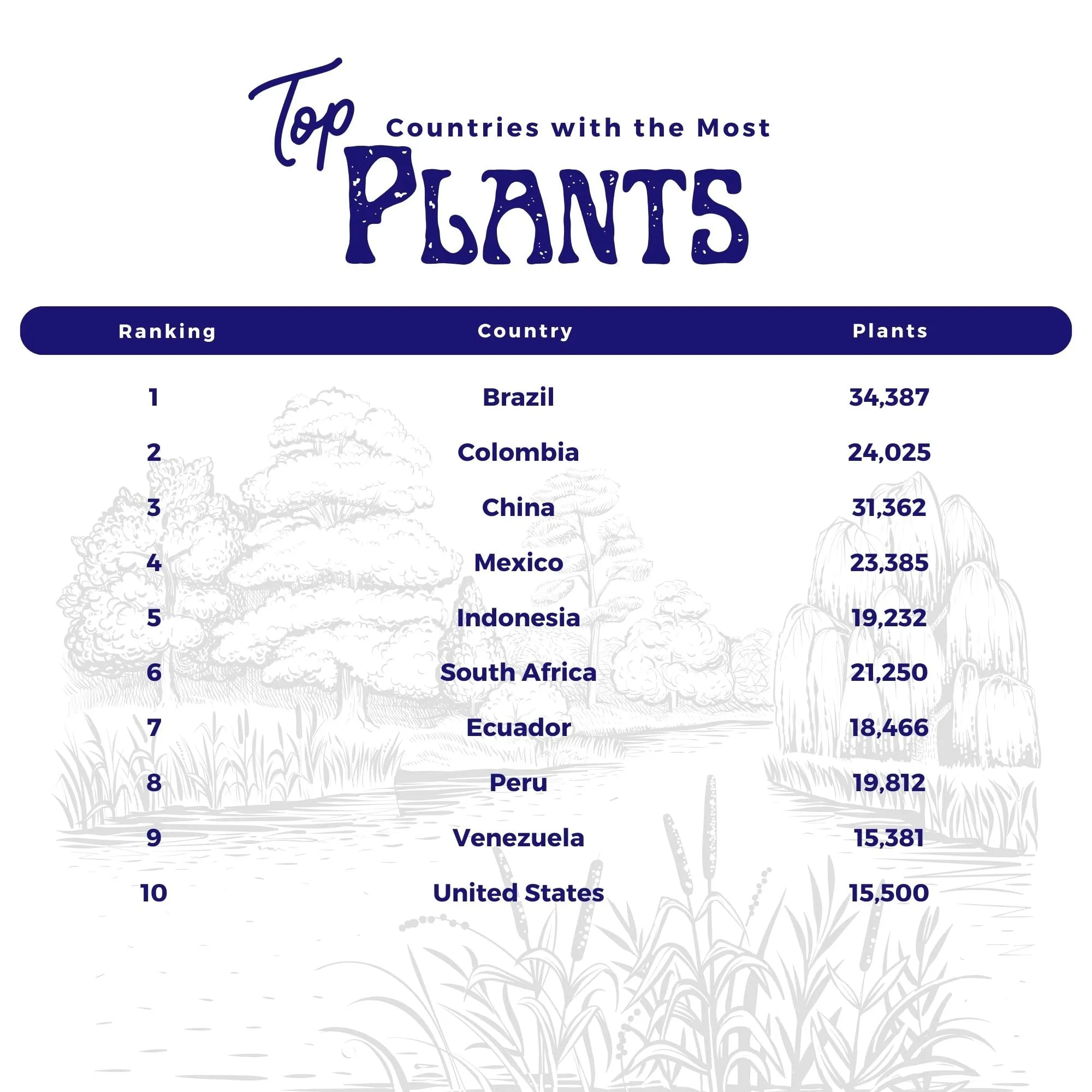 Ranked table graphic listing the top 10 countries with the most plant species.