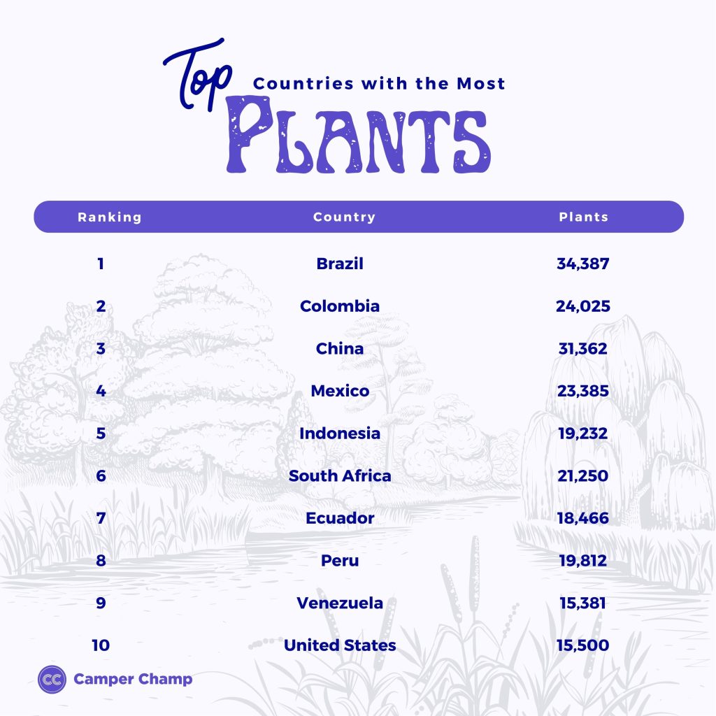 top-countries-with-most-plants